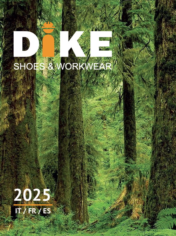 Catalogue Dike Catalogue Dike